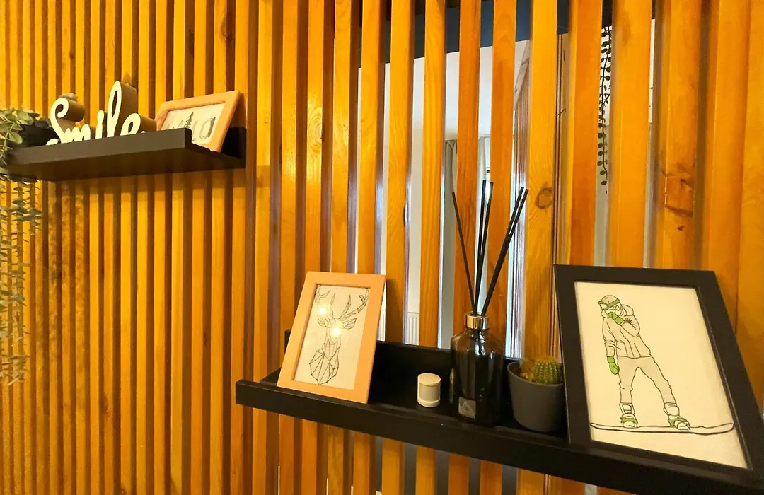 Forest Oasis Studio: Free Netflix And Disney+-1