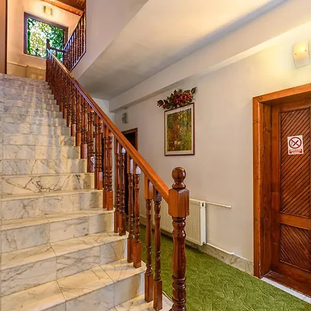Pension Casa Bradul-2