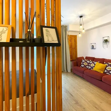 Forest Oasis Studio: Free Netflix And Disney+-3