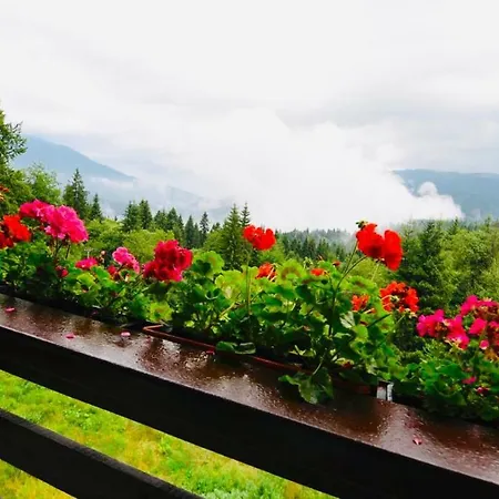 Nature House Predeal-2