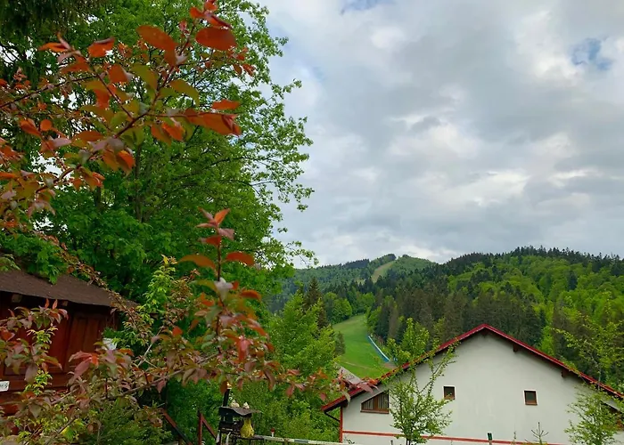 Francesco'S Mountain Apartment Predeal
