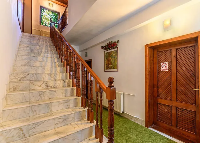 Pension Casa Bradul Predeal