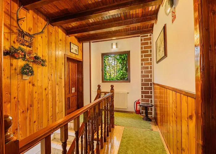 Pension Casa Bradul Predeal