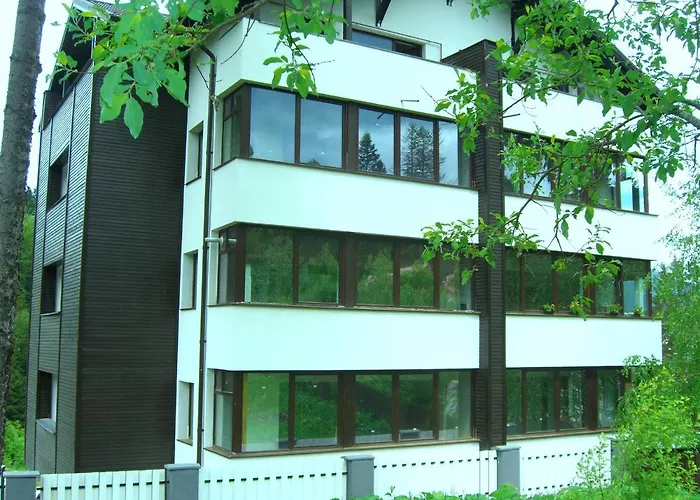 Bonjour Apartment Predeal