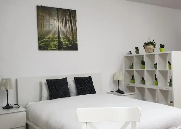 Lenz Studio Predeal
