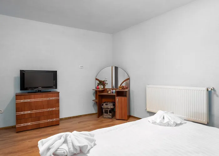 Central Apartament Predeal Nr 7