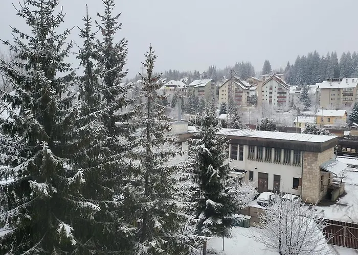 Central Apartament Predeal Nr 6