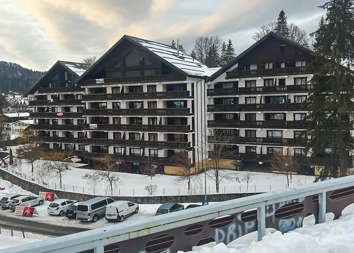Apartament Partia Clabucet Predeal