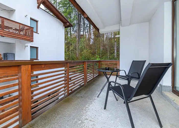 Clabucet Alpin Studio Predeal