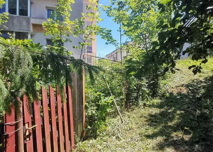 Cosy 2 Rooms Apartment With A View Near The Forest Predeal