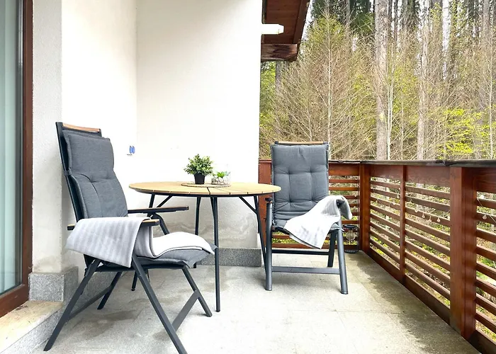 Forest Oasis Studio: Free Netflix And Disney+ Predeal