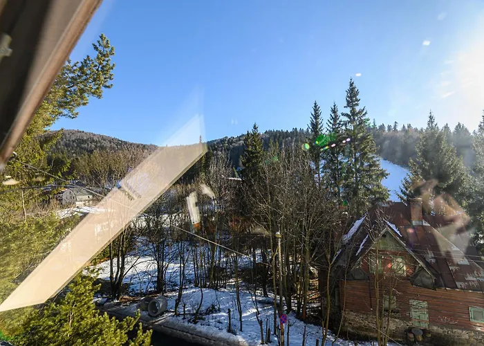 Ski View Apartment Predeal