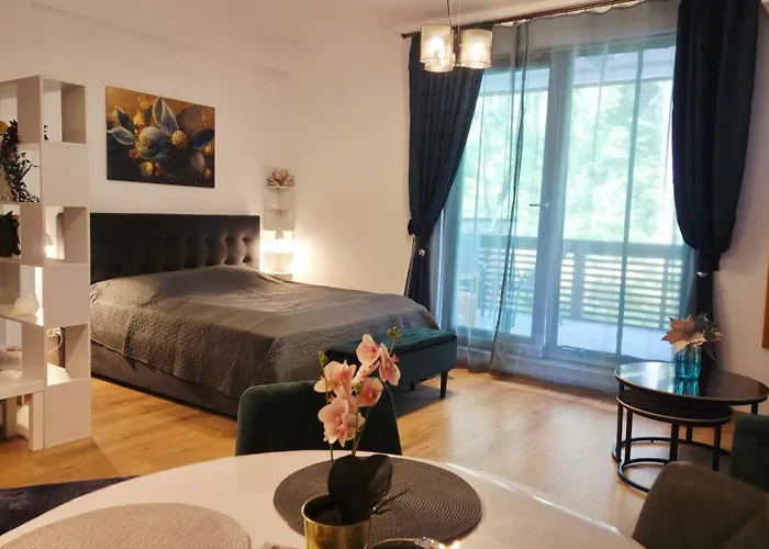 Ari Studio Clabucet Predeal