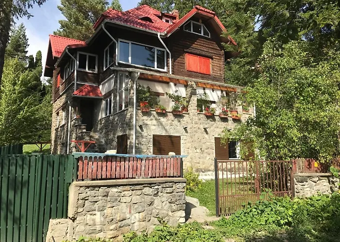 Apartamentul Ursilor Predeal